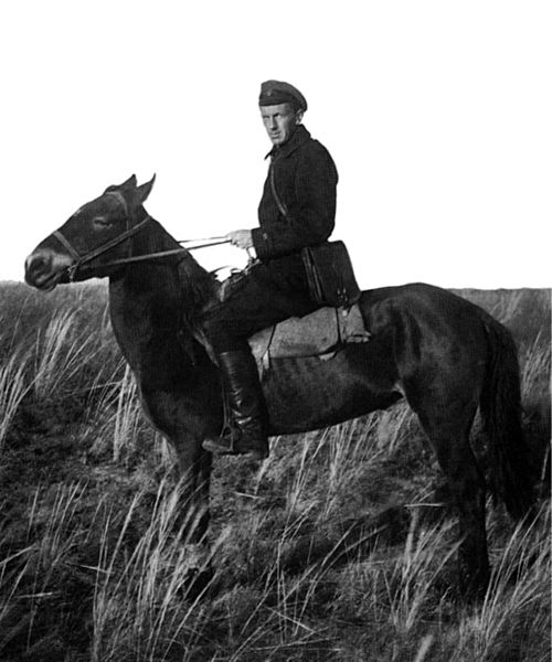 Datei:Alexander Leonidovich Yanshin 01.jpg