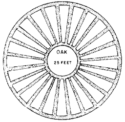Datei:Ancient wheel shaped plats in Michigan.gif