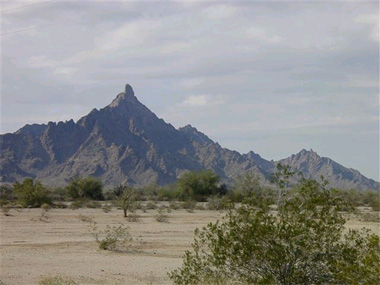 Datei:Arizona Riesen.jpg