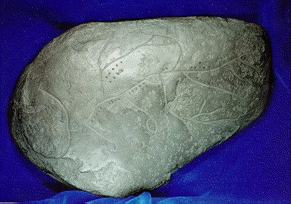 Datei:Baetis River Stone - Bildseite.jpg