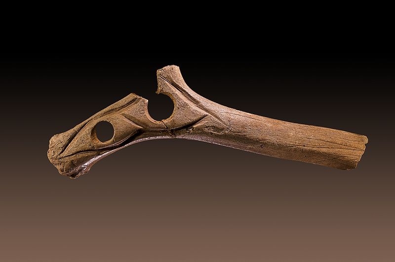 Datei:Baton Lartet MHNT PRE .2010.0.1.2 Seul Fond.jpg