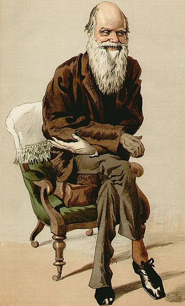 Datei:Charles Darwin 1871.jpg