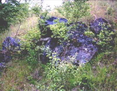 Datei:Dolmen Marsberg.jpg
