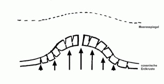 Datei:Ellmann 7.jpg