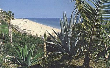 Datei:Fuerteventura.jpg