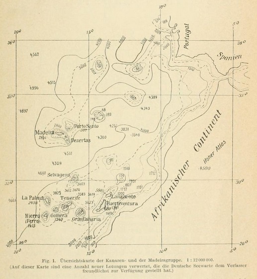 Datei:Gagel - Kanaren und Madeiragruppe.jpg