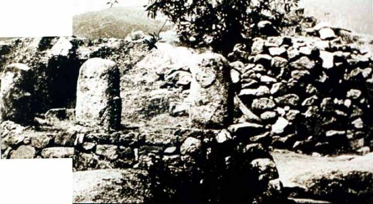 Gympiepyramid ape.jpg