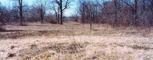 Datei:Henry County 4.jpg