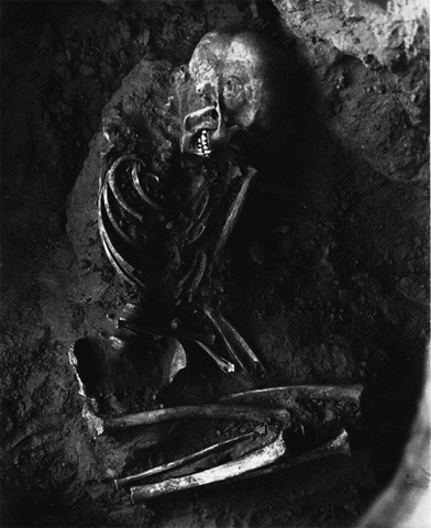 Datei:Kentuck Riese.jpg