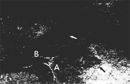 Datei:Kerr Afrika 1.jpg