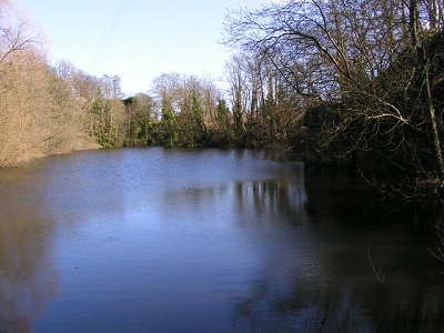 Datei:Kingoodie Quarry - geograph.org.uk - 170750.jpg
