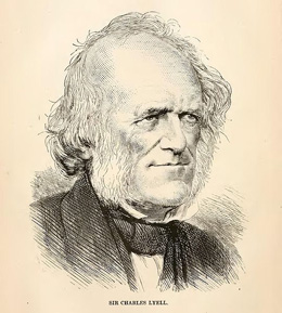 Datei:Lyell 5.jpg