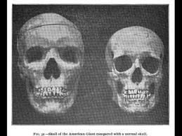 Datei:Marion County-skull.jpg