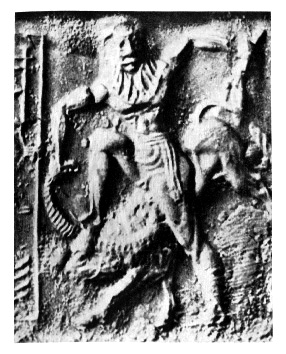 Datei:Orientalis 8.jpg