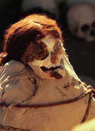 Datei:Peruanischer Rotschopf.jpg