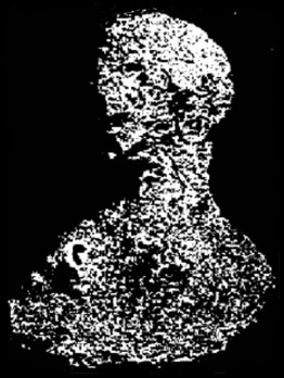 Datei:Petrified-head.jpg
