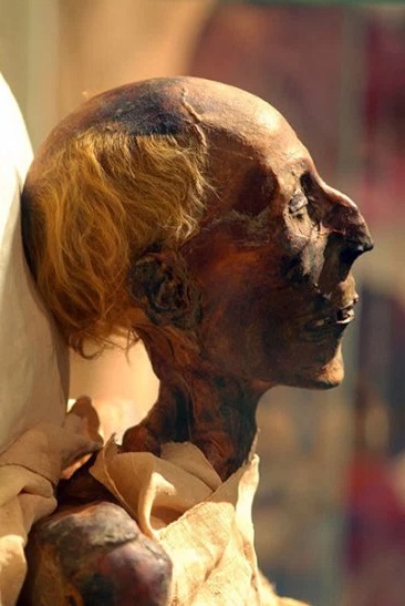 Datei:Ramesses II mummy in profile (colored picture).jpg