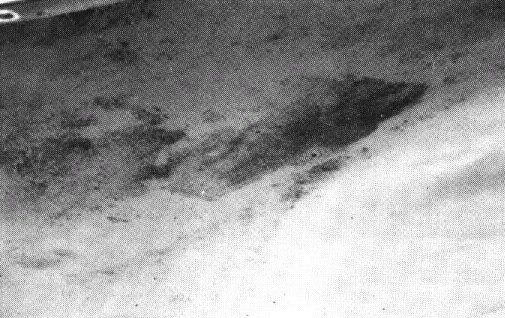 Datei:Rechteckformationen bei Bimini.jpg