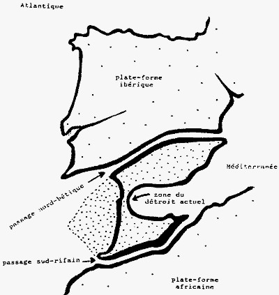 Datei:Rif-betischer Ring.jpg