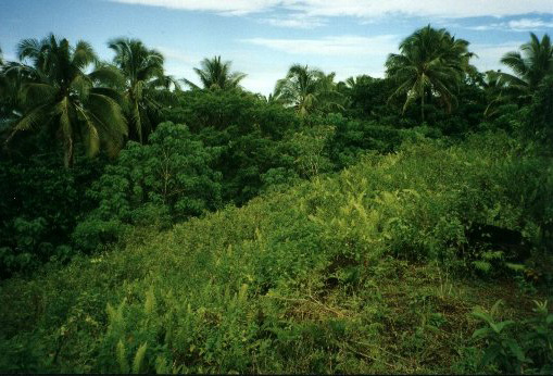 Datei:Samoa Pyramide.jpg