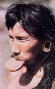 Suya.jpg
