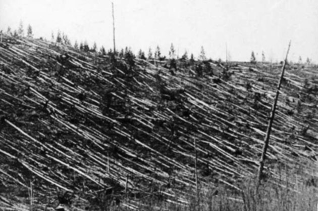 Datei:Unzaehlige-umgestuertzte-baeume-1908-in-tunguska.jpg