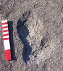 Datei:Valseqillo 1.jpg
