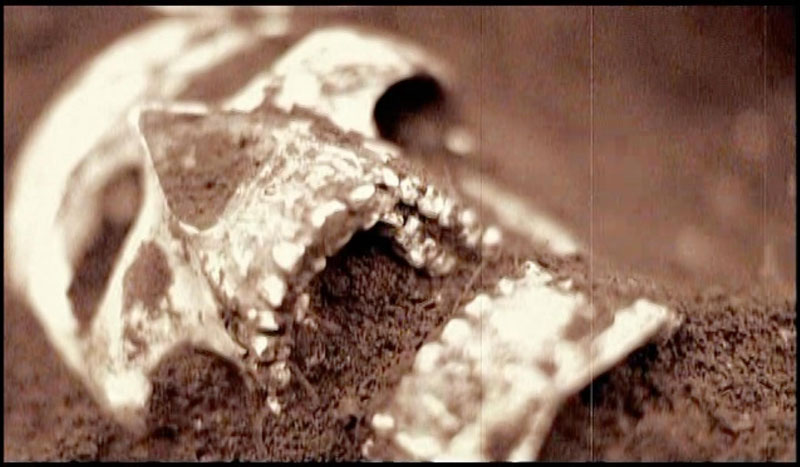 Datei:Vieiranewman1 html m68156af5.jpg