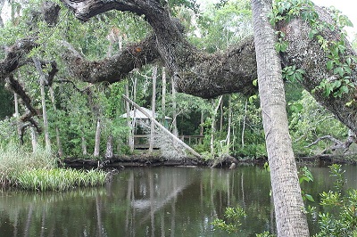 Datei:View from James E. Grey Preserve.jpg
