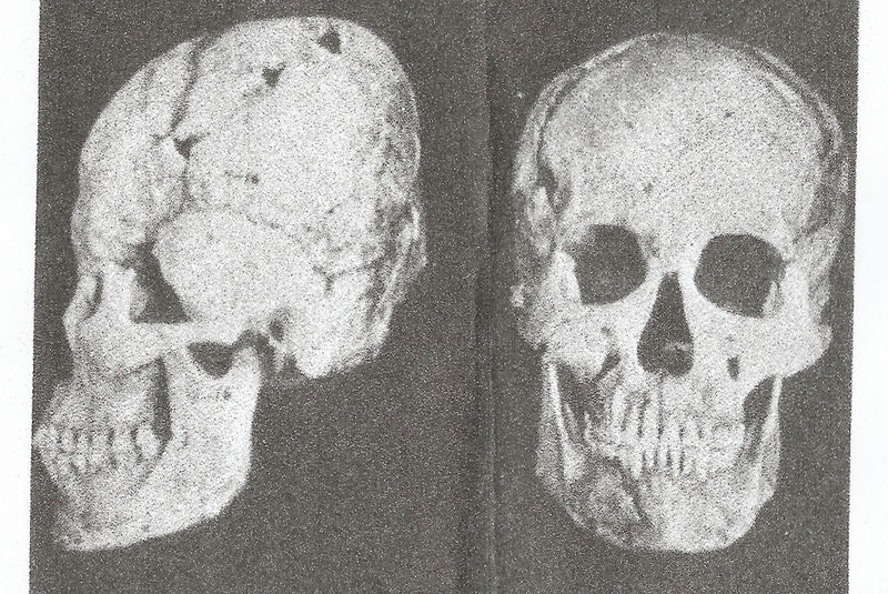 Datei:Adena-Schädel.jpg