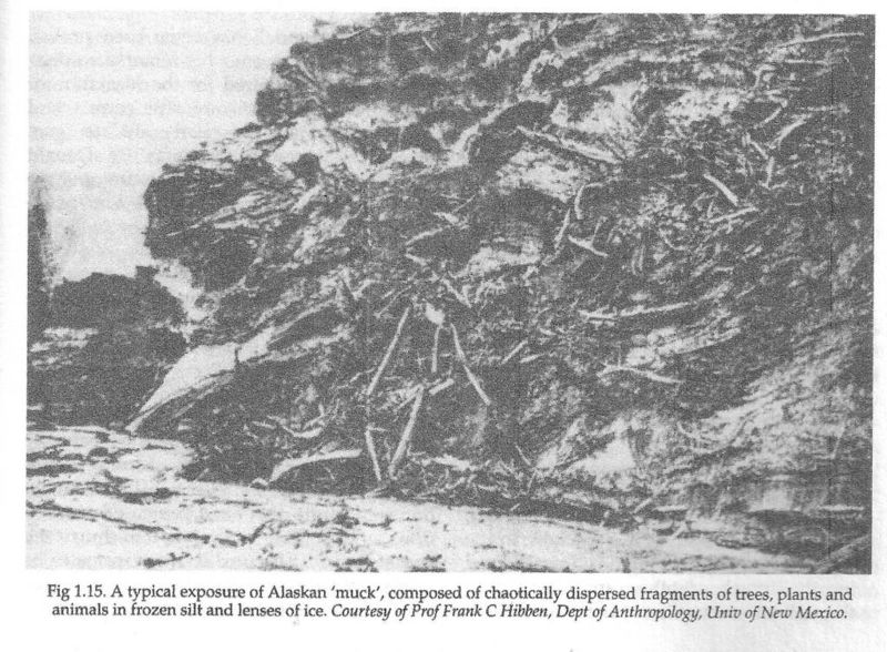 Datei:Alaskan-muck-catastrophic-deposits.jpeg