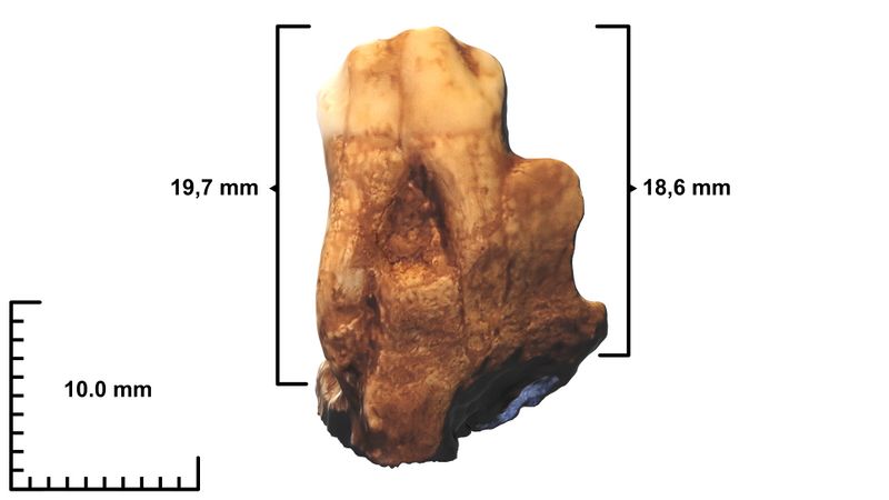 Datei:Bild 01 26 01 2023.jpg