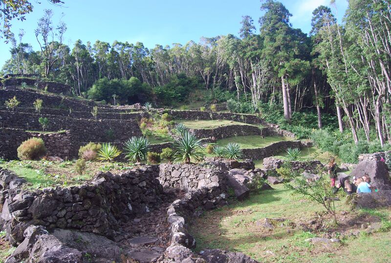 Datei:Bild 05 20 12 2025.jpg