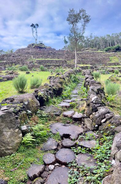 Datei:Bild 06 20 12 2025.jpg