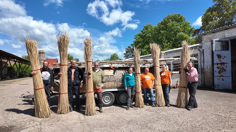 Datei:Bild 07 19 05 2025.jpg