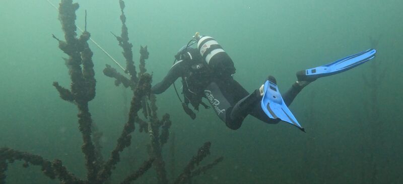 Datei:Bild 5 27 05 2024.jpg