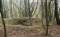 Vorschaubild der Version vom 7. März 2017, 11:36 Uhr