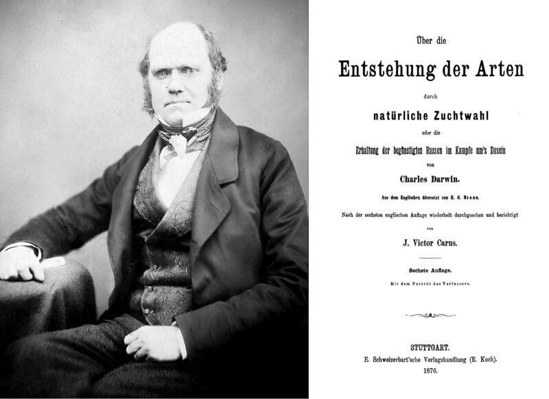 Datei:Darwins Zweifel Kopie.jpg