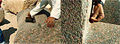 Vorschaubild der Version vom 3. September 2009, 18:50 Uhr