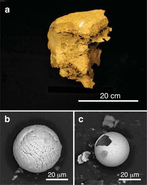Datei:Hagstrum and Firestone-7.jpg