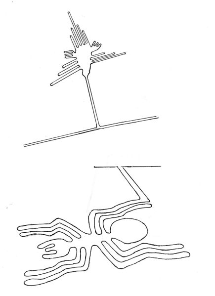 Datei:Kolibri-Spinne A5 mit Text.jpg