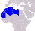 Maghreb.png