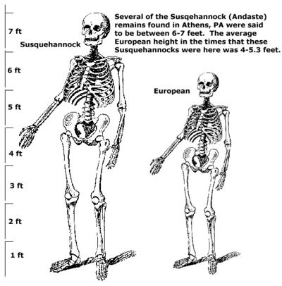 Abb. 4 Dieser Größenvergleich macht deutlich, dass 7 Fuß (ca. 2,13 m) große Andaste-Skelettfunde ihren europäischen Entdeckern in der Tat 'riesenhaft' erschienen sein müssen. Graphik: © Deb Twigg, SpanishHill.com