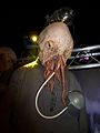 The Ood.jpg